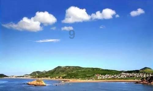 杏树当年生的中短枝第二年能结果吗？-专业的有问必答平台